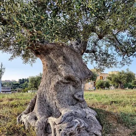 Dimora D'errico - Monolocale Nel Centro Storico * Carovigno